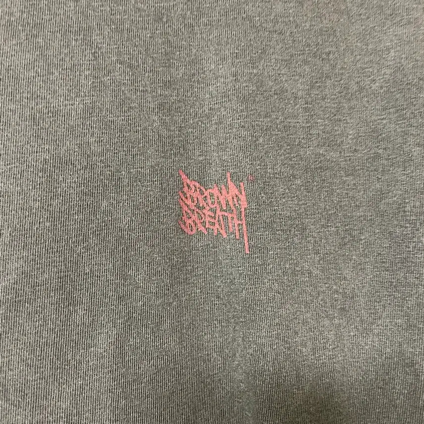 [BUNJANG] Brownbreath Graphic T-Shirt / 브라운브레스 반팔티 그레이
