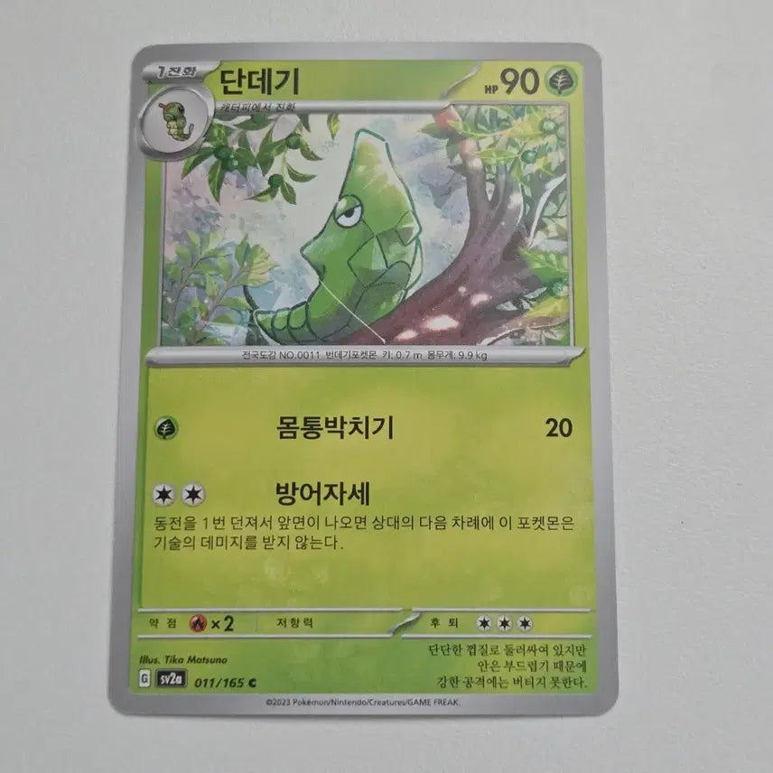 [BUNJANG] Pokemon Card Larvitar / 포켓몬카드 단데기