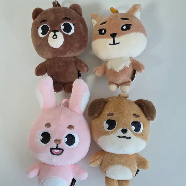 [SOLD OUT] 일괄)데이식스 데니멀즈 방케필돈