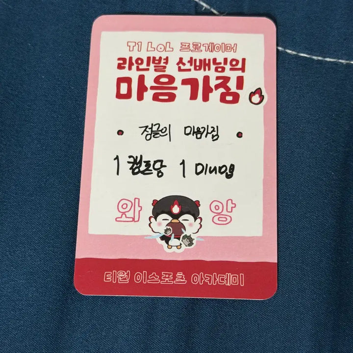 [BUNJANG] T1 Oner Photocard Homeground Academy / 티원 오너 포토카드 포카 홈그라운드 아카데미 t1 oner