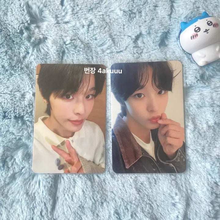 [BUNJANG] NCT WISH Riku Wish Photocard Bundle Set / 엔시티위시 리쿠 위시 포카 일괄양도
