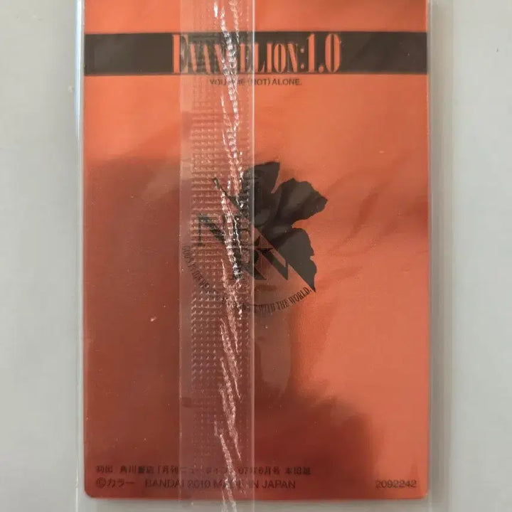 [BUNJANG] Evangelion Trading Cards / 에반게리온 카드