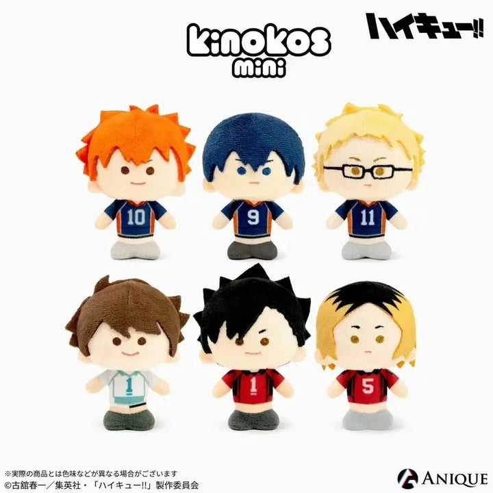 [BUNJANG] Haikyuu!! Mini Box Nekoma Karasuno Oikawa / 하이큐 KINOKOS 미니 박스 네코마 카라스노 오이카와