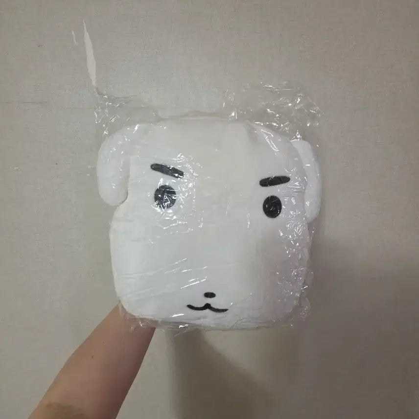 [BUNJANG] Ganadi Instax Bag / 가나디 가방 팝니다