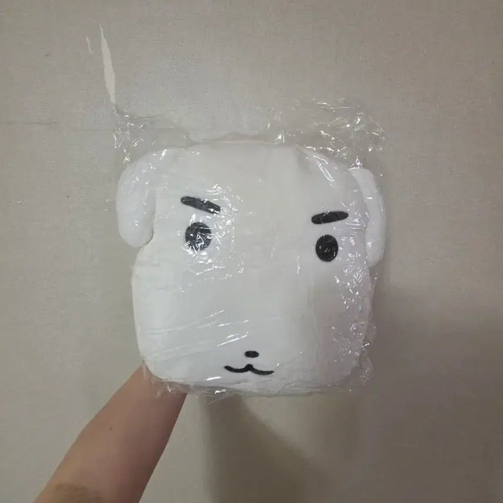 [BUNJANG] Ganadi Instax Bag / 가나디 가방 팝니다