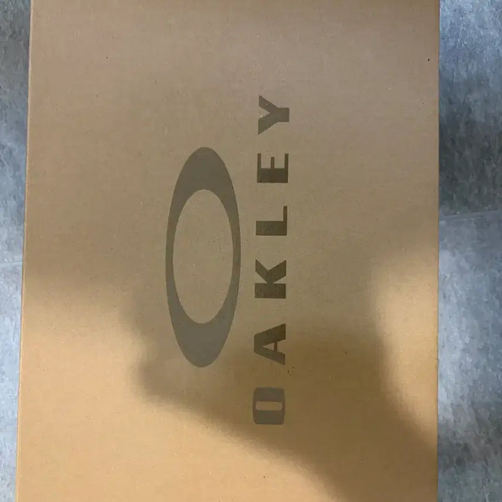 [BUNJANG] Oakley Edge Icon Cream Navy Shoes / 오클리 신발