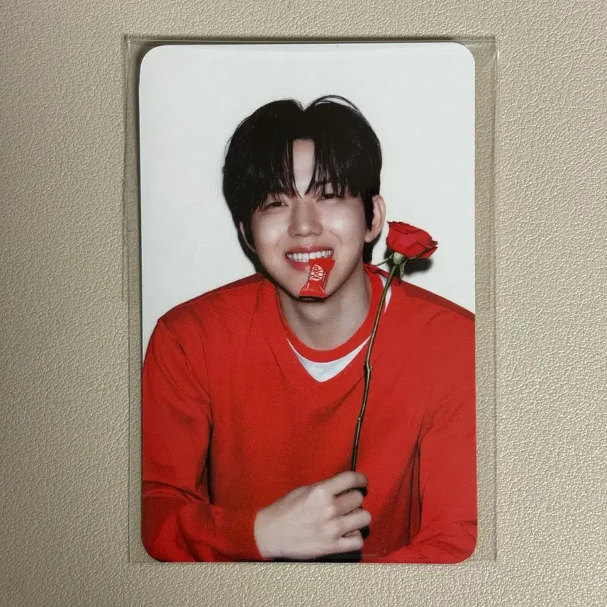 [SOLD OUT] 데이식스 도웃 킷캣 포카