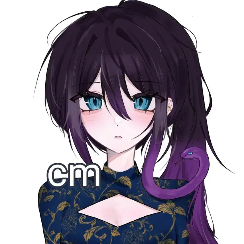 [BUNJANG] Female Character Portrait Commission / 1인 여캐 그림커미션