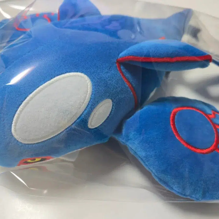 [BUNJANG] Pokemon Kyogre Japanese Medium Plush / 포켓몬 가이오가 일본 중형 인형
