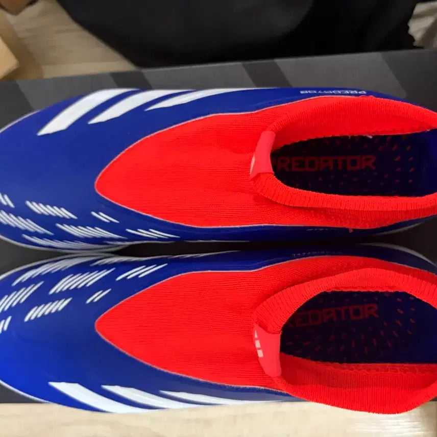 [BUNJANG] Adidas Predator Futsal Shoes / 아디다스 프레데터 풋살화
