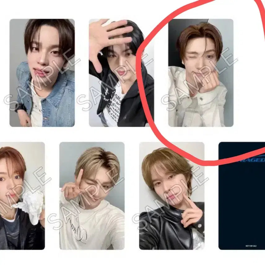 [BUNJANG] TWS Hybe Music Group Store Lucky Draw Youngjae Photocard / 투어스 hybe music group store 럭드 영재 포카 팔아요