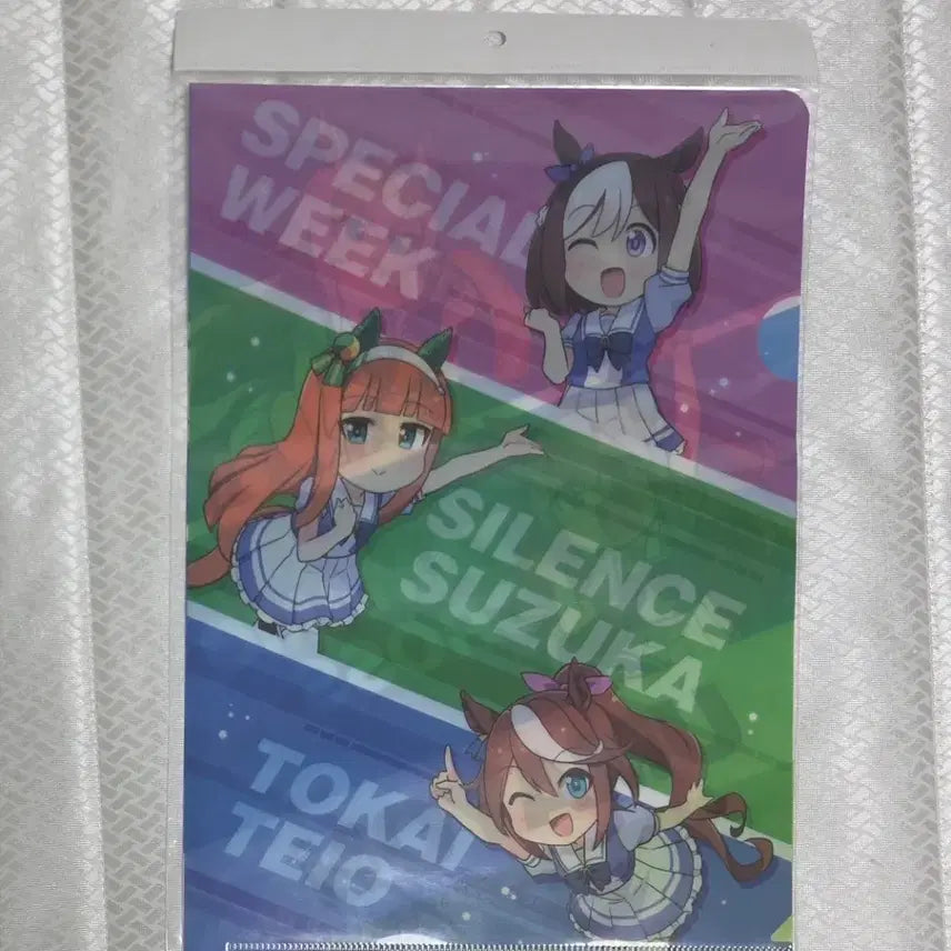 [BUNJANG] Uma Musume Clear File / 우마무스메 클리어파일