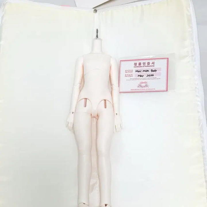 [BUNJANG] Chikabi Mini 41 Milk Skin MSD Body / 치카비 미니41 밀크스킨 msd 바디 판매