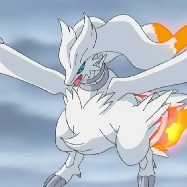 [BUNJANG] Reshiram BRG10 / 레시라무 bwr brg10 구매 원해요