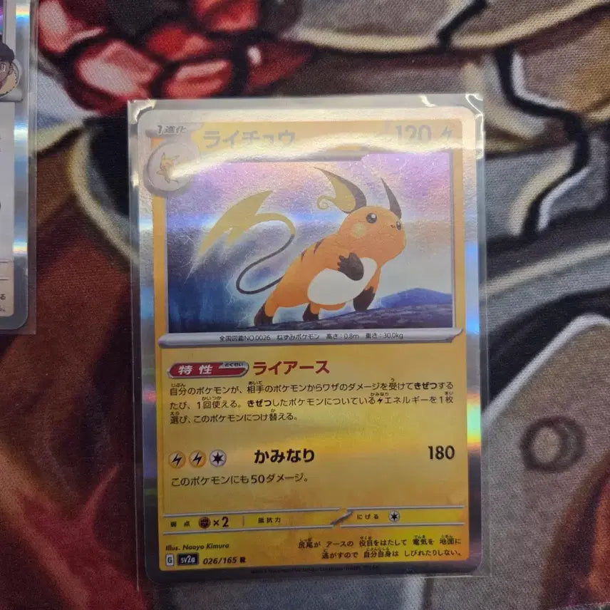 [BUNJANG] Pokemon Card Raichu Japanese Edition / 포켓몬카드 라이츄 일어판