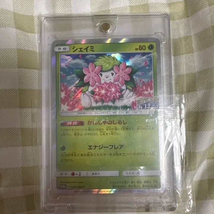 [BUNJANG] 20th Anniversary Limited Edition Shaymin / (급처)원가 10 오늘만 6 20주년 기념 한정판 쉐이미