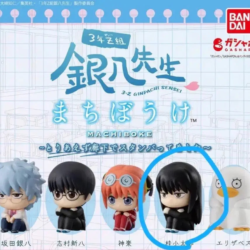 [BUNJANG] Gintama Gintoki Kagura Gintoki Figure / 은혼 긴파치선생 마치보케 가챠 카츠라