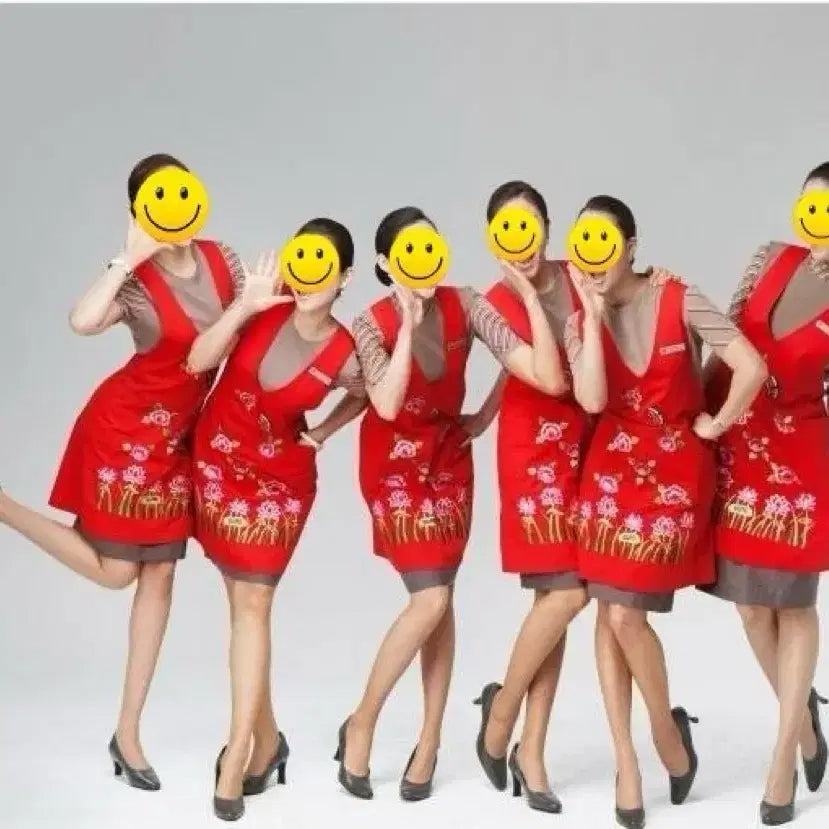 [BUNJANG] Asiana Airlines Flight Attendant Apron / 아시아나 앞치마(승무원앞치마