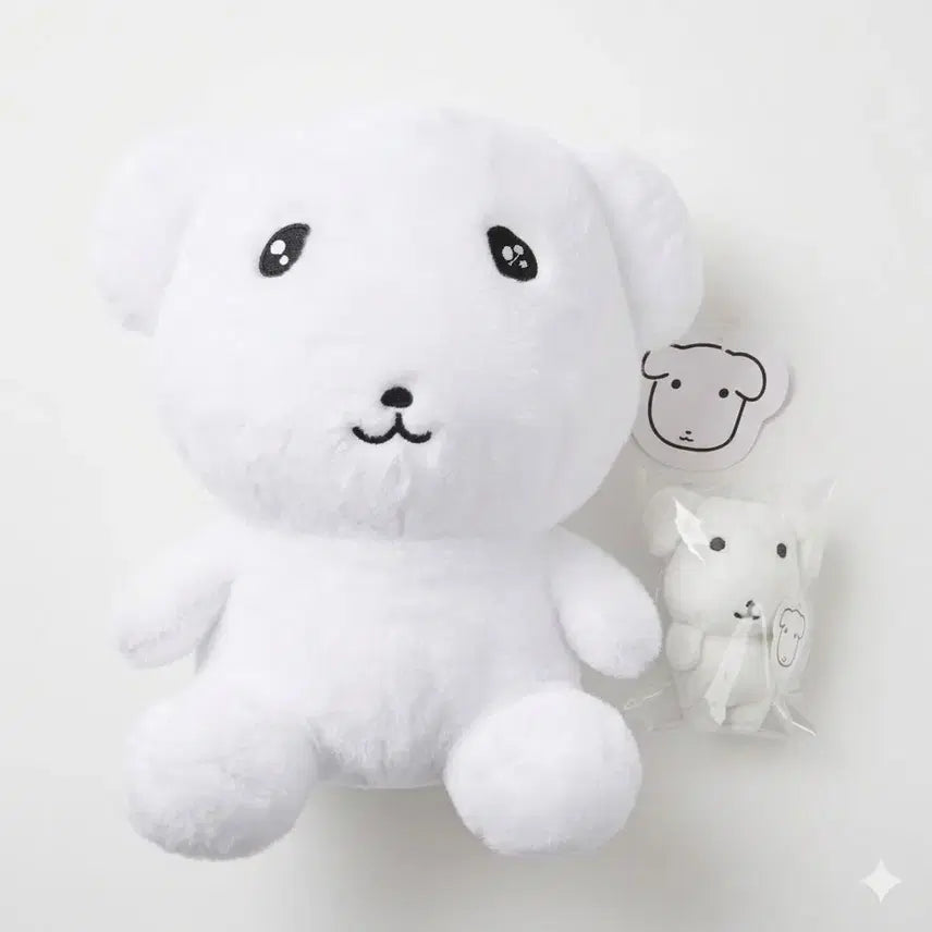 [BUNJANG] Ganadi Naana Medium Plush Keychain Bundle Set / 가나디 나안아 중형인형 키링인형 일괄