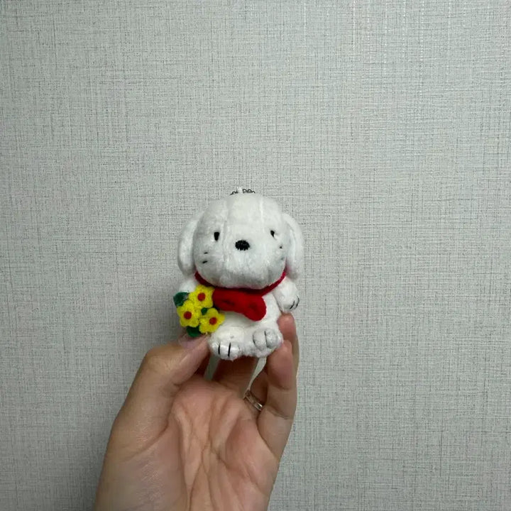 [BUNJANG] Sanrio Classic Peter Rabbit Plush Doll / 산리오 고전 피터 데이비스 인형