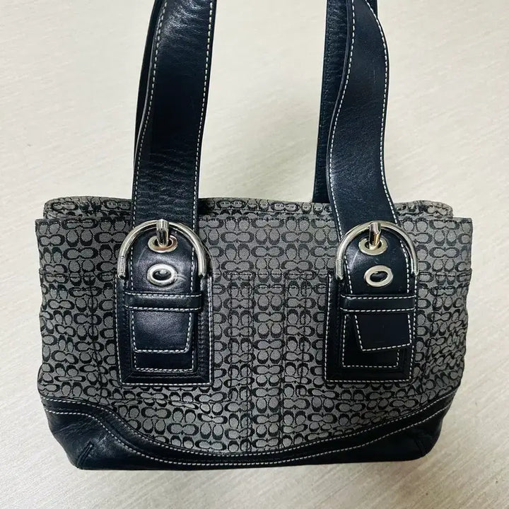 [BUNJANG] Coach Bag / 코치가방