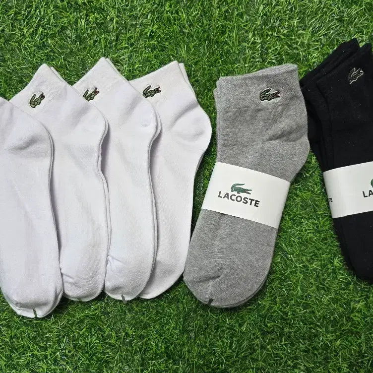[BUNJANG] Lacoste Embroidered Anklet Socks (White/Grey/Black) / 라코스테 양말 모음 (화이트/그레이/블랙)