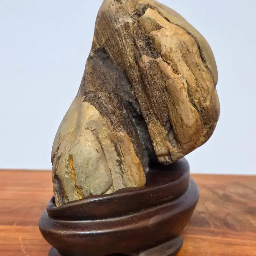 [BUNJANG] Namhan River Jade Stone / 26051111 석질과 변화가 좋은 남한강 옥석 수석 팝니다