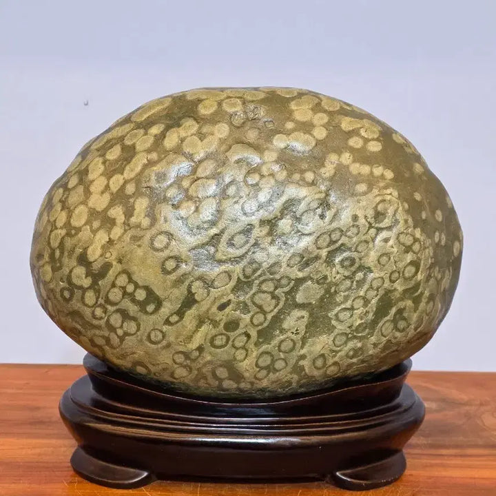 [BUNJANG] Chinese Grape Stone Suiseki / 26051115 포도알이 예쁜 중국 포도석 수석 팝니다