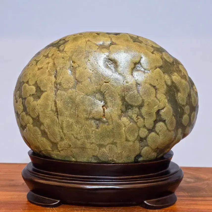 [BUNJANG] Chinese Grape Stone Suiseki / 26051115 포도알이 예쁜 중국 포도석 수석 팝니다