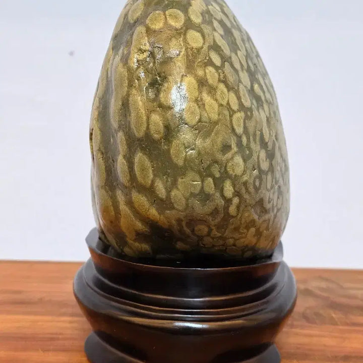 [BUNJANG] Chinese Grape Stone Suiseki / 26051115 포도알이 예쁜 중국 포도석 수석 팝니다