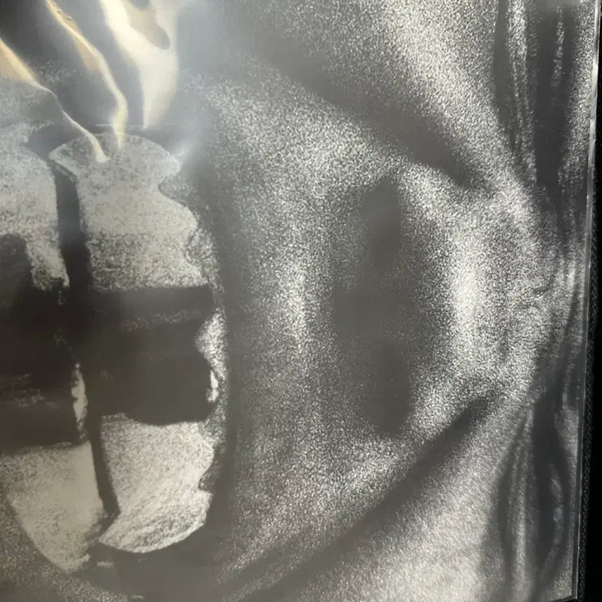 [BUNJANG] Bully LP Vinyl Record / Bully lp