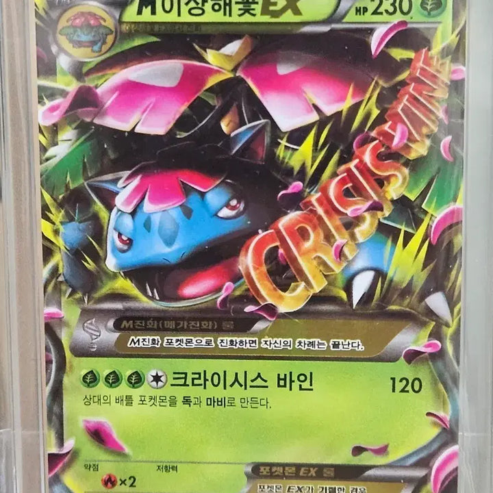 [BUNJANG] Pokemon Card M Venusaur EX / 포켓몬 카드 M이상해꽃EX