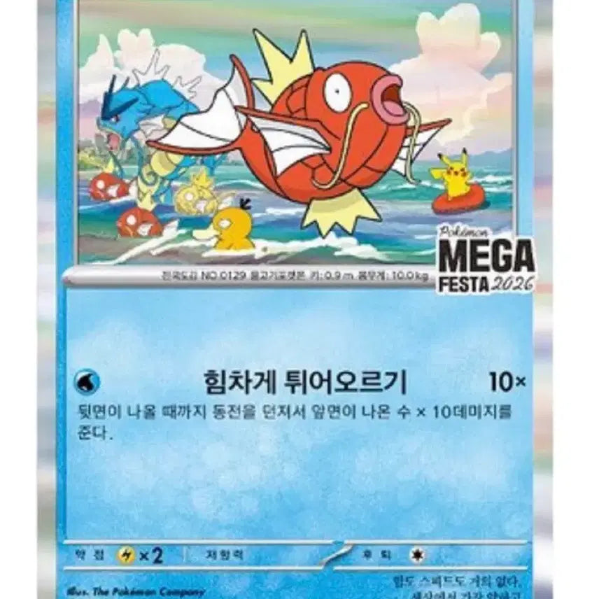 [BUNJANG] Pokemon Magikarp Promo Card Set / 포켓몬 잉어킹 프로모 카드 2장