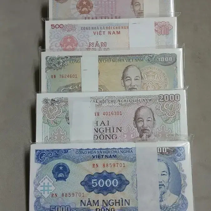 [BUNJANG] Vietnam Old Currency Bundle Set (5 Bunches) / 옛날돈 베트남 구권 5다발 일괄