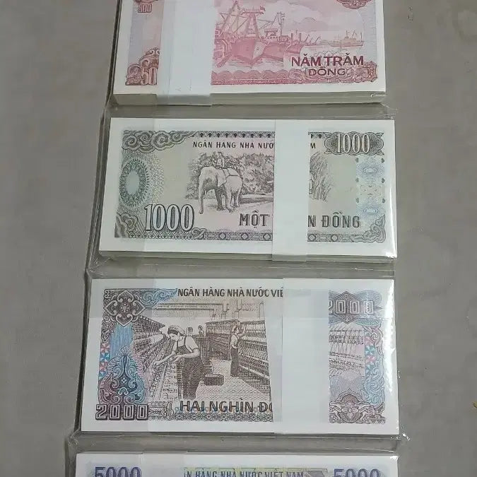 [BUNJANG] Vietnam Old Currency Bundle Set (5 Bunches) / 옛날돈 베트남 구권 5다발 일괄