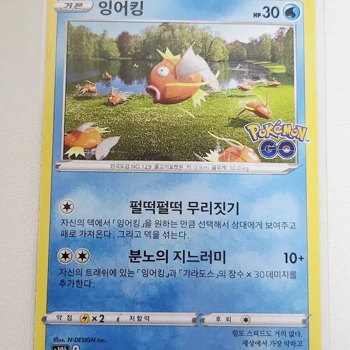 [BUNJANG] Pokemon Magikarp Pokemon GO Card / 포켓몬카드 잉어킹 포켓몬고