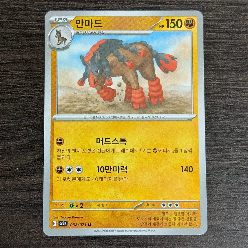 [BUNJANG] Pokemon Card Accessories Bundle Set / 포켓몬카드 만마드 판매 2