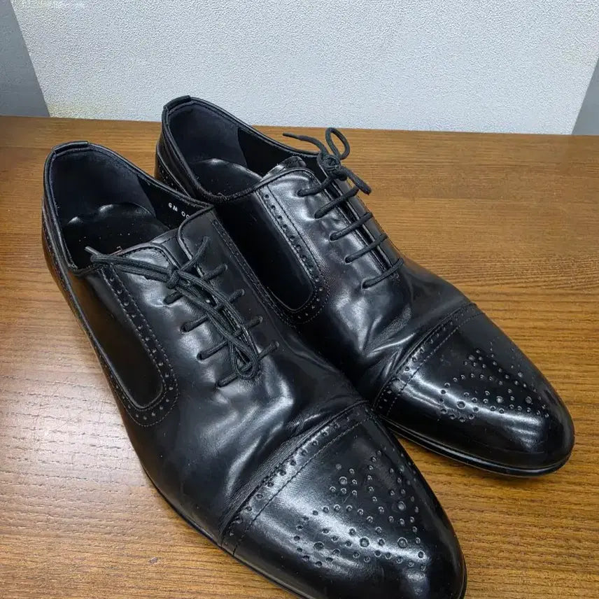 [BUNJANG] Tandy Leather Wingtip Shoes / 탠디 가죽 구두 윙팁