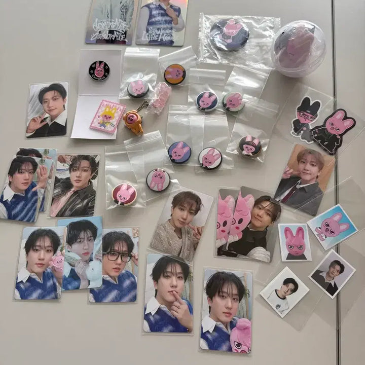 [SOLD OUT] 스트레이키즈 창빈, 스키주 돼끼(굿즈 및 가챠)