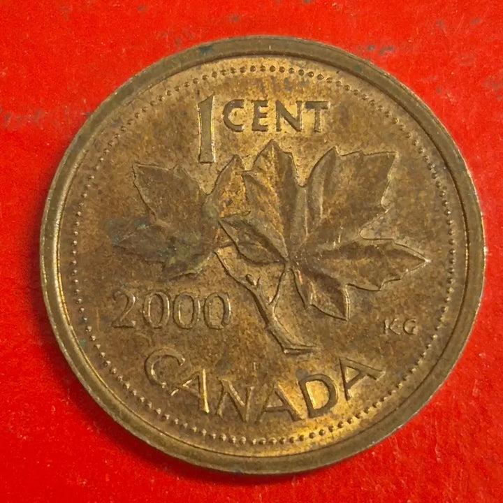 [BUNJANG] Canada 1 Cent Coin (2000) / 2000 캐나다 1센트 동전 M2480