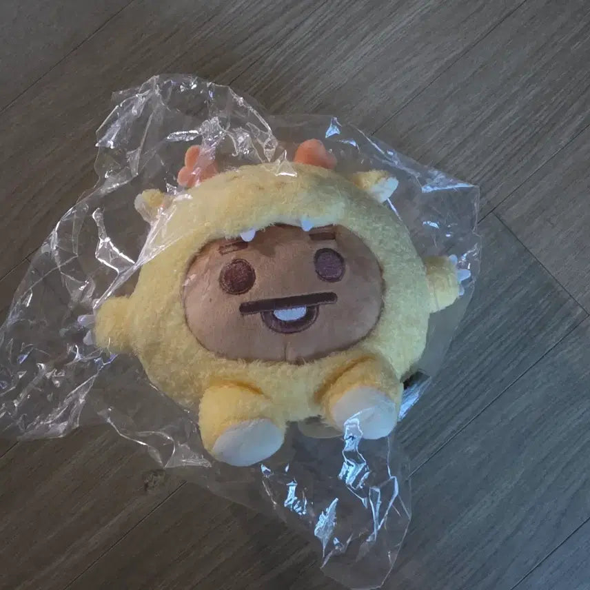[BUNJANG] BTS BT21 Shooky Plush Doll / BTS 방탄 Bt21 슈키 shooky  인형