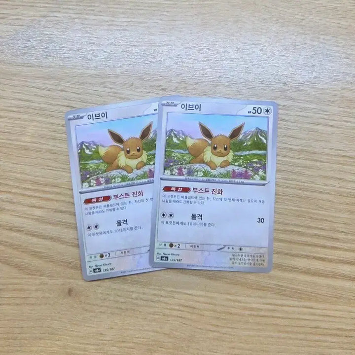 [BUNJANG] Pokemon Eevee Card / 포켓몬카드 이브이