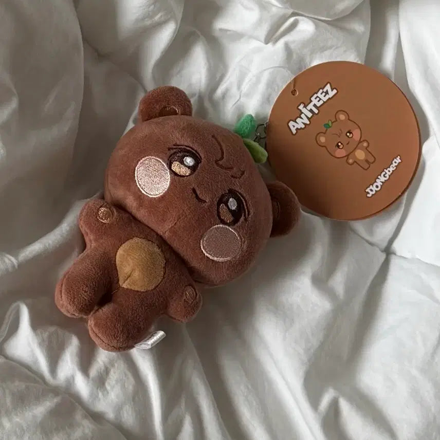 [SOLD OUT] 쫑베어 인형키링 트레저 팝업