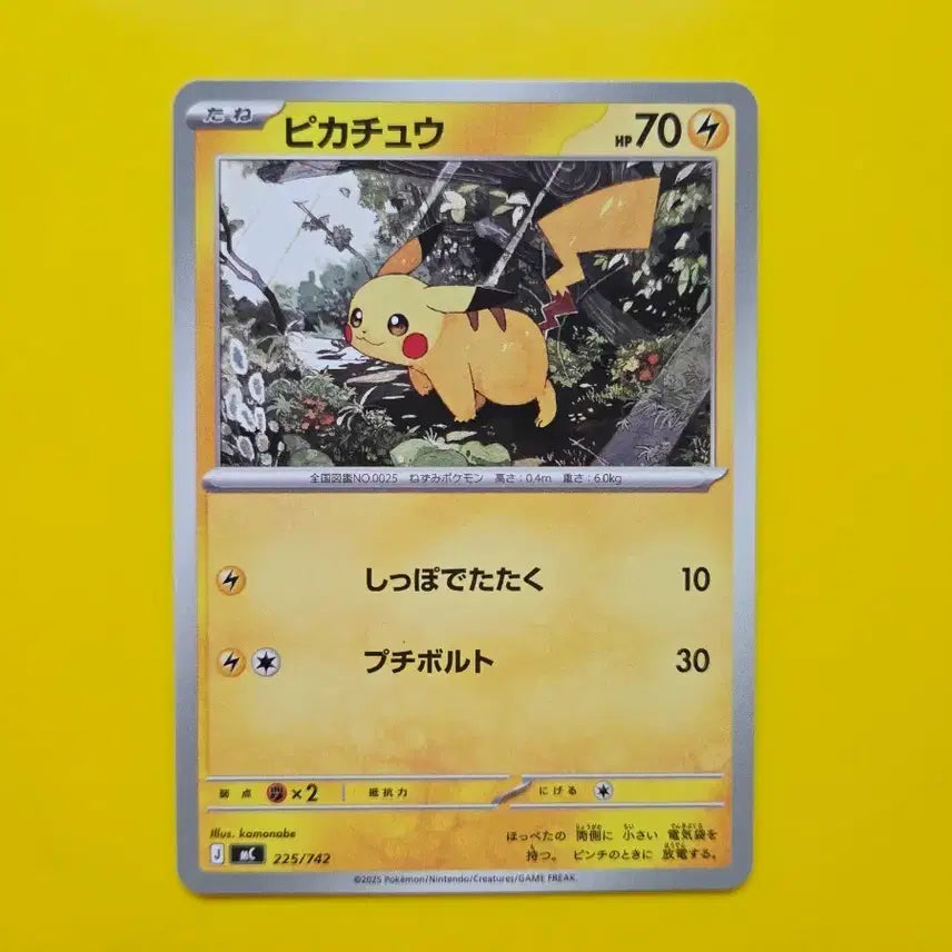 [BUNJANG] Pokemon Card Game Start Deck 100 Pikachu Japanese / 포켓몬카드 스타트덱100  피카츄 ss급 일판 일본판1