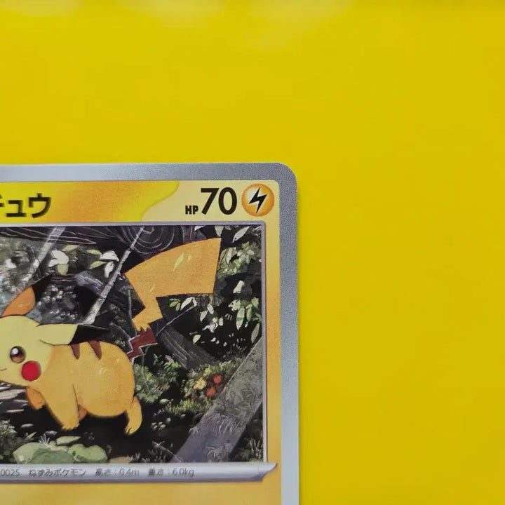 [BUNJANG] Pokemon Card Game Start Deck 100 Pikachu Japanese / 포켓몬카드 스타트덱100  피카츄 ss급 일판 일본판1