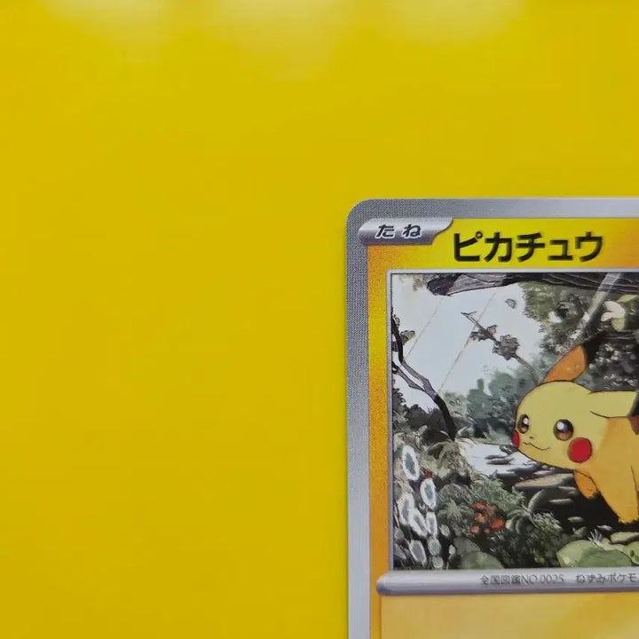 [BUNJANG] Pokemon Card Start Deck 100 Pikachu Japanese / 포켓몬카드 스타트덱100 피카츄 ss급 일판 일본판2