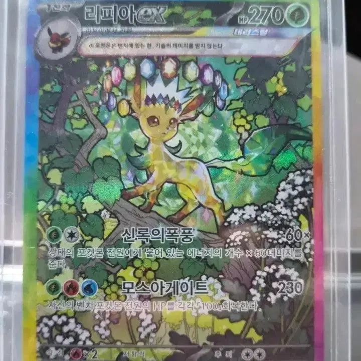 [BUNJANG] Pokemon Card Leafeon ex SAR / 포켓몬카드 리피아 ex SAR