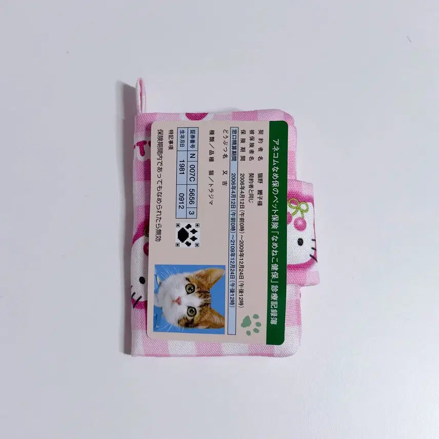 [BUNJANG] Sanrio Hello Kitty Cherry Mini Card Holder / 산리오 헬로키티 체리 미니 카드지갑
