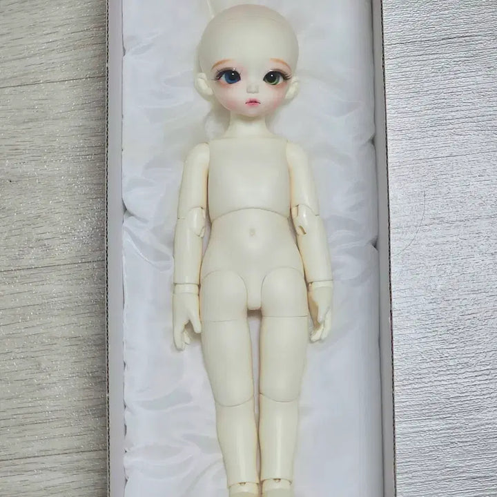 [BUNJANG] Roots Honey Delf Madeleine Doll - Full Set / (이번 주까지만 이 가격!) 루츠 usd 허니델프 마들렌 물포 일괄