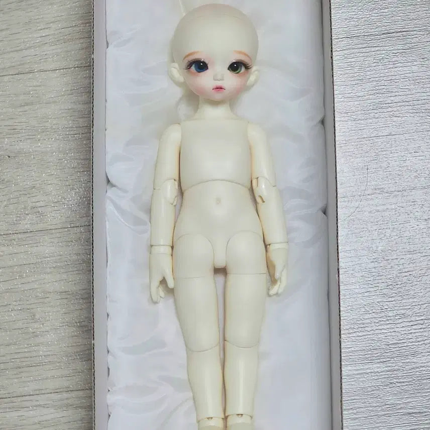 [BUNJANG] Roots Honey Delf Madeleine Doll - Full Set / (이번 주까지만 이 가격!) 루츠 usd 허니델프 마들렌 물포 일괄